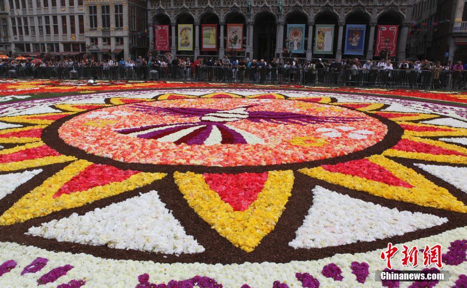 Bélgica exibe tapete de flores de 1.800 metros quadrados