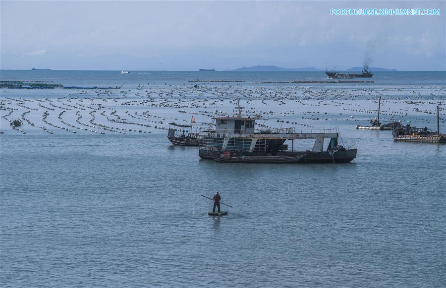 Zona de maricultura na ilha Nanji em Wenzhou, leste da China