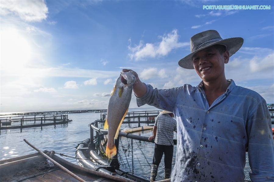 Zona de maricultura na ilha Nanji em Wenzhou, leste da China