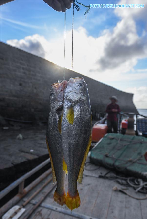 Zona de maricultura na ilha Nanji em Wenzhou, leste da China