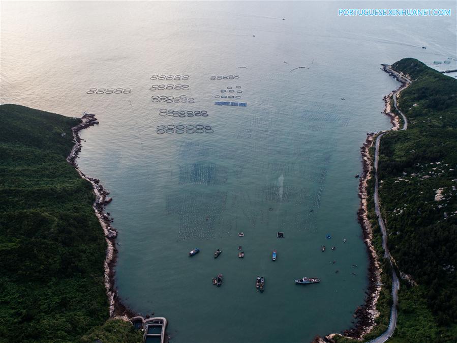 Zona de maricultura na ilha Nanji em Wenzhou, leste da China