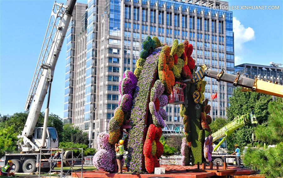 Beijing se prepara para receber próxima Cúpula do Fórum de Coopera??o China-áfrica