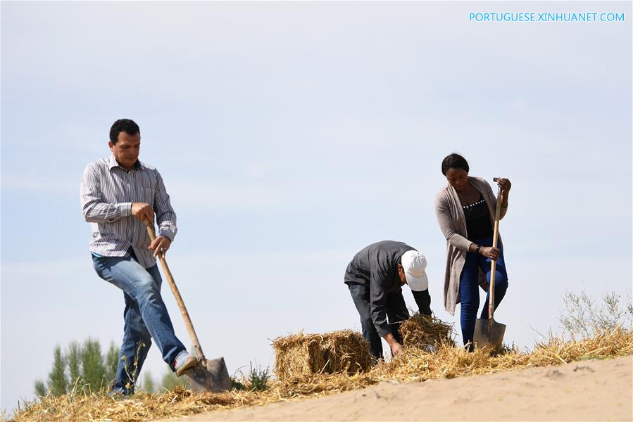 Estudantes africanos aprendem sobre combate à desertifica??o na China
