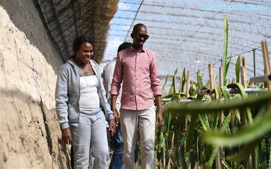 Estudantes africanos aprendem sobre combate à desertifica??o na China