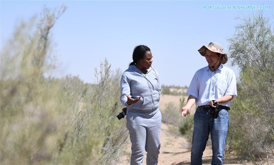 Estudantes africanos aprendem sobre combate à desertifica??o na China