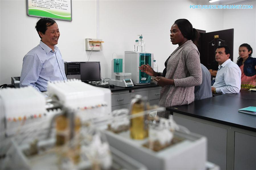 Estudantes africanos aprendem sobre combate à desertifica??o na China