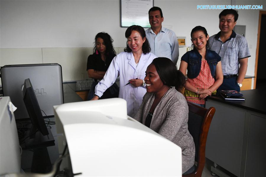 Estudantes africanos aprendem sobre combate à desertifica??o na China