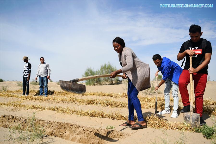 Estudantes africanos aprendem sobre combate à desertifica??o na China