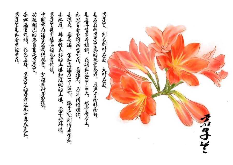 Ilustra??es criadas por professora de arte mostram principais atra??es de Changchun 