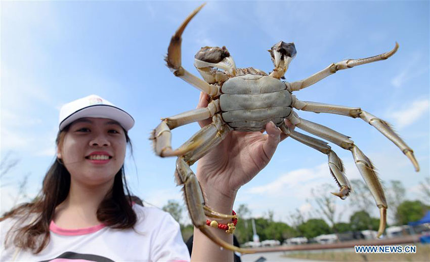 Turistas degustam caranguejos em festival do lago Yangcheng 