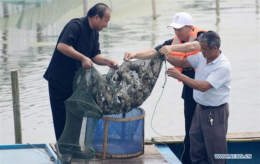 Turistas degustam caranguejos em festival do lago Yangcheng 