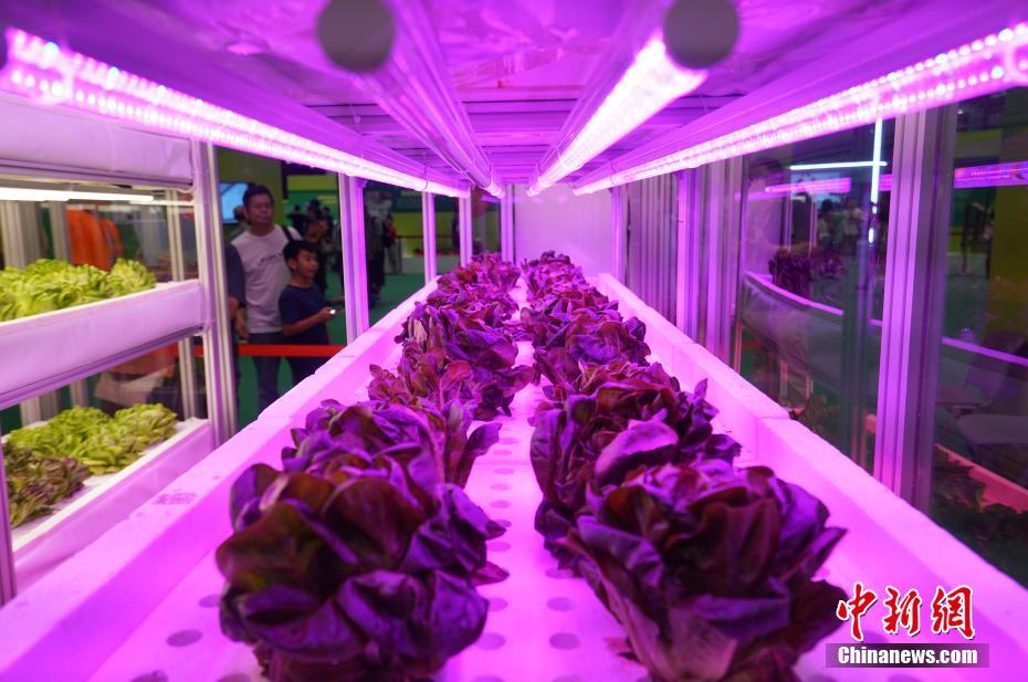 “InnoTech EXPO 2018” inaugurada em Hong Kong