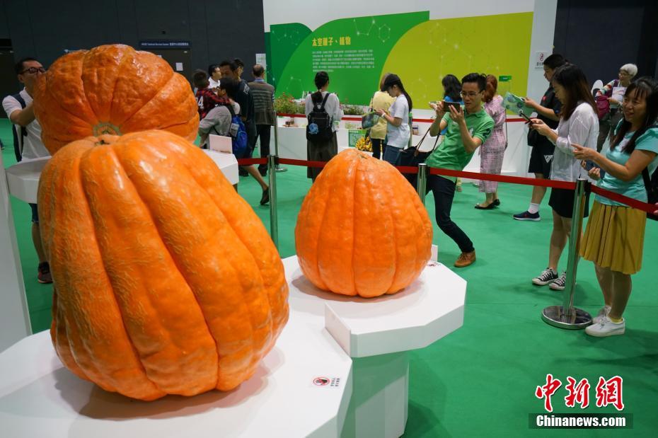 “InnoTech EXPO 2018” inaugurada em Hong Kong