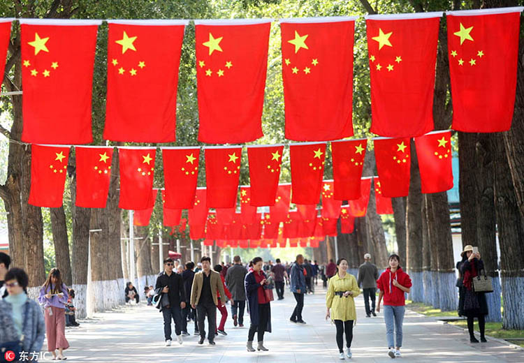 Galeria: Ruas decoradas para celebrar chegada do Dia Nacional