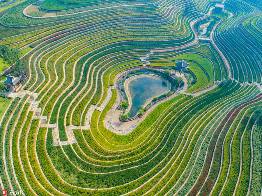Galeria: Paisagem outonal dos socalcos em Guizhou