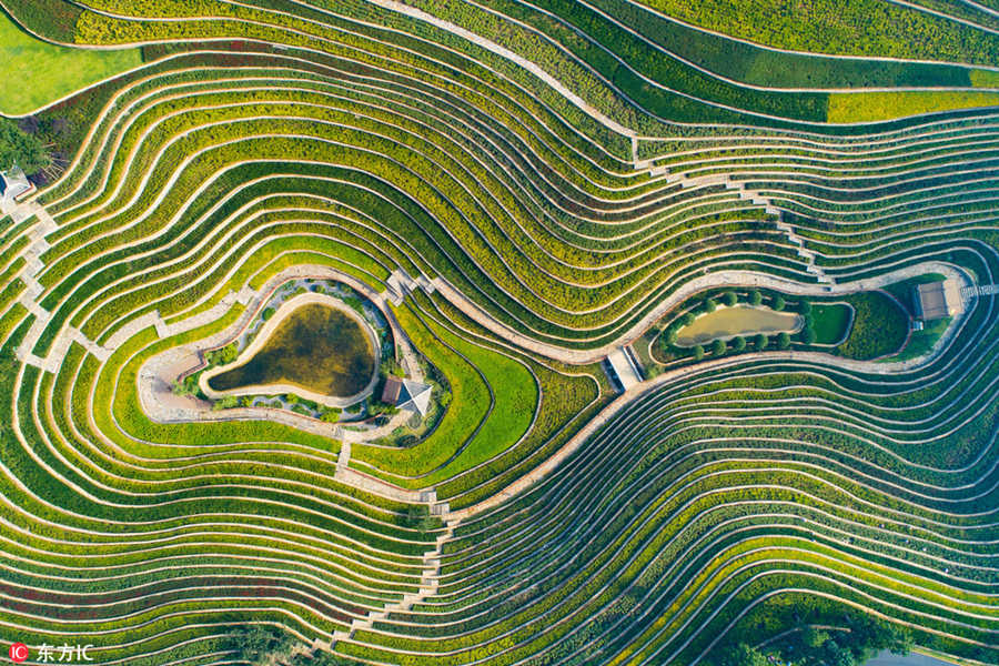 Galeria: Paisagem outonal dos socalcos em Guizhou