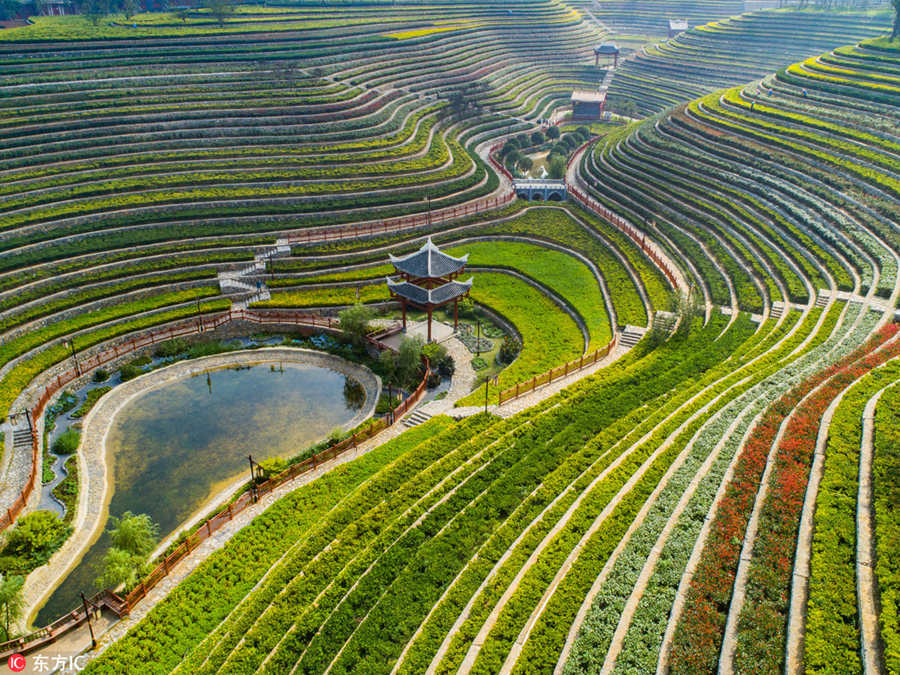 Galeria: Paisagem outonal dos socalcos em Guizhou
