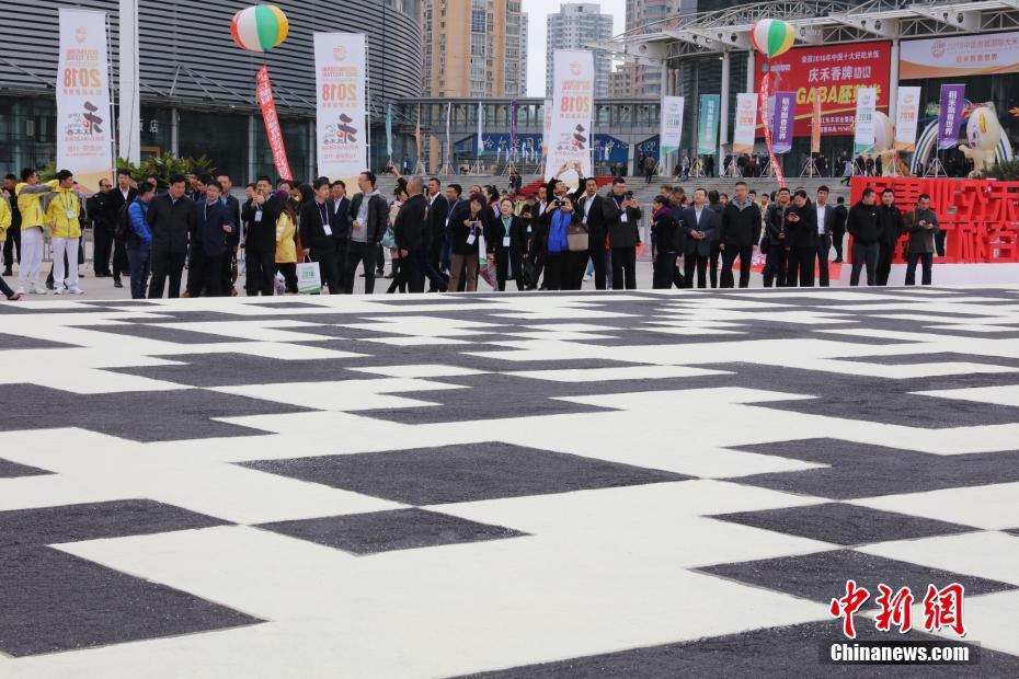 Maior código QR do mundo feito com gr?os exibido em Harbin