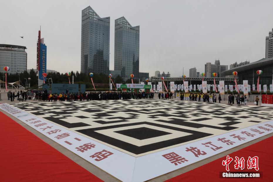 Maior código QR do mundo feito com gr?os exibido em Harbin