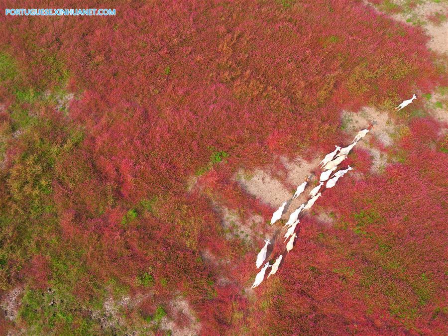 Galeria: Lago Hongze em Huai'an, província de Jiangsu