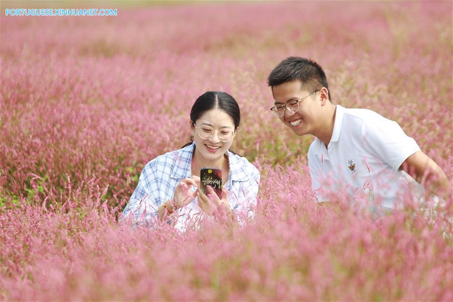 Galeria: Lago Hongze em Huai'an, província de Jiangsu