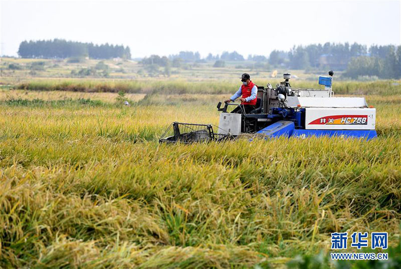 Xiaogang, ber?o da reforma, tra?a novo caminho para o crescimento