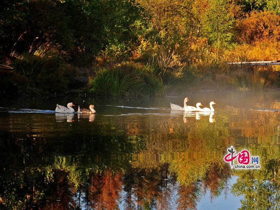 Galeria: Paisagem outonal das pastagens de Bashang