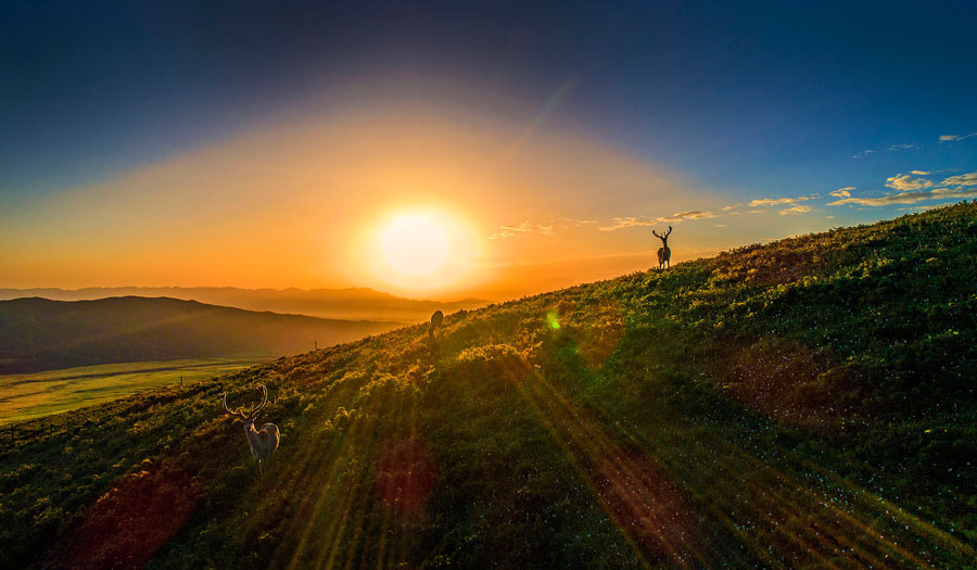 Galeria: Montanha Qilian no outono