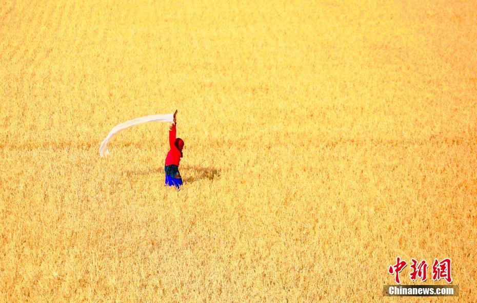 Galeria: Paisagem outonal de Hulun Buir, na Mongólia Interior