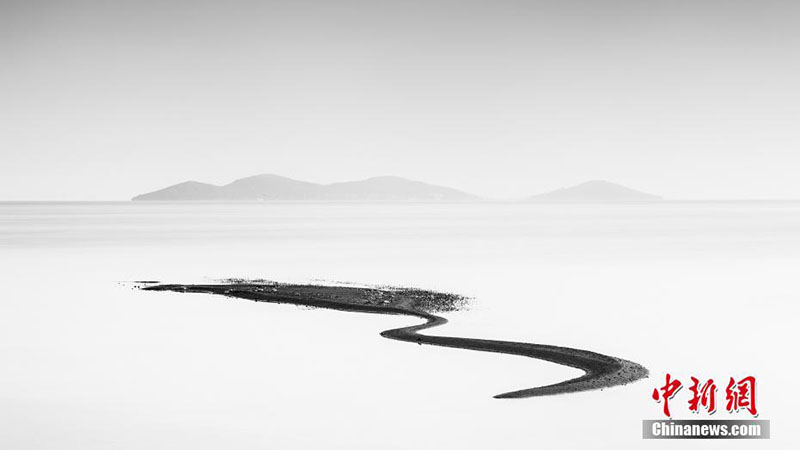 Galeria: Fotógrafo de Vida Selvagem 2018 divulga fotos vencedoras