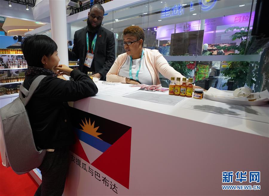 Galeria: Conhe?a as exposi??es dos países e regi?es participantes na primeira CIIE