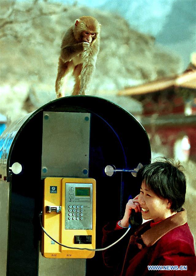 História em fotos: Desenvolvimento da indústria de telecomunica??es da China em 4 décadas