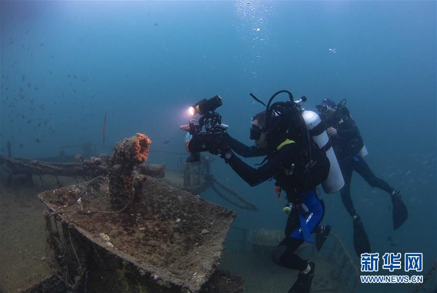 Treinadores de mergulho fazem voluntariado na prote??o de recifes de coral