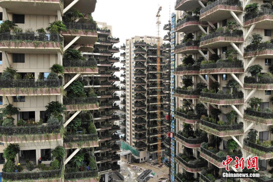 Chengdu aposta na cria??o de “bosques verticais”