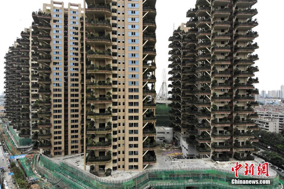 Chengdu aposta na cria??o de “bosques verticais”