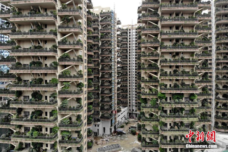 Chengdu aposta na cria??o de “bosques verticais”