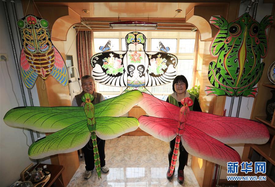 Galeria: Artes?o constrói 1.500 papagaios em 20 anos