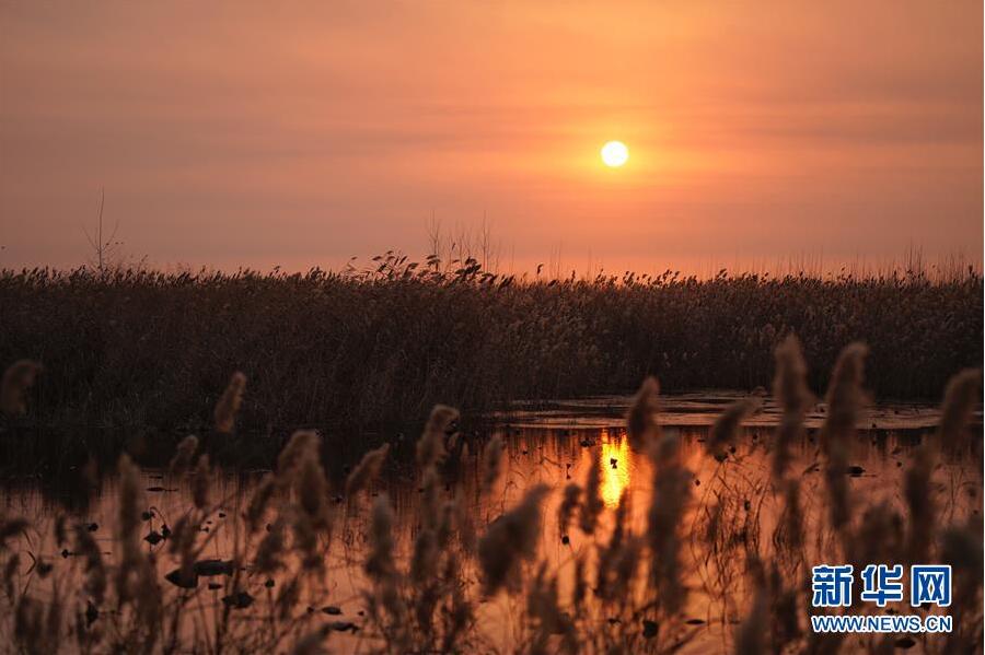Galeria: Nascer do sol em Baiyangdian