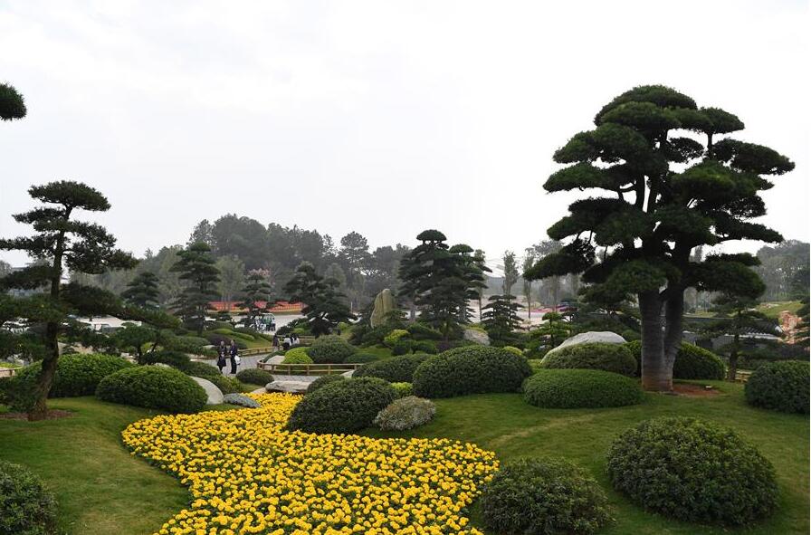 12a Exposi??o Internacional de Jardim da China realiza-se em Nanning, sul da China