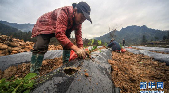 China registra queda substancial na taxa de pobreza nos últimos 40 anos