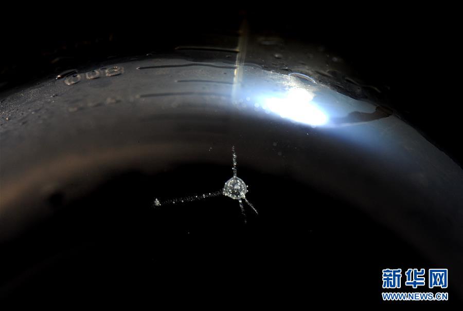 Explore?os?mais?profundos?mistérios?científicos?do?oceano?na?Fossa?das?Marianas