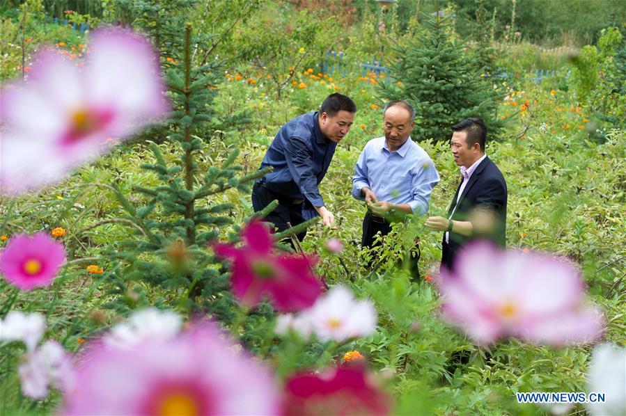 áreas profundamente pobres da China fazem rápido progresso no alívio da pobreza