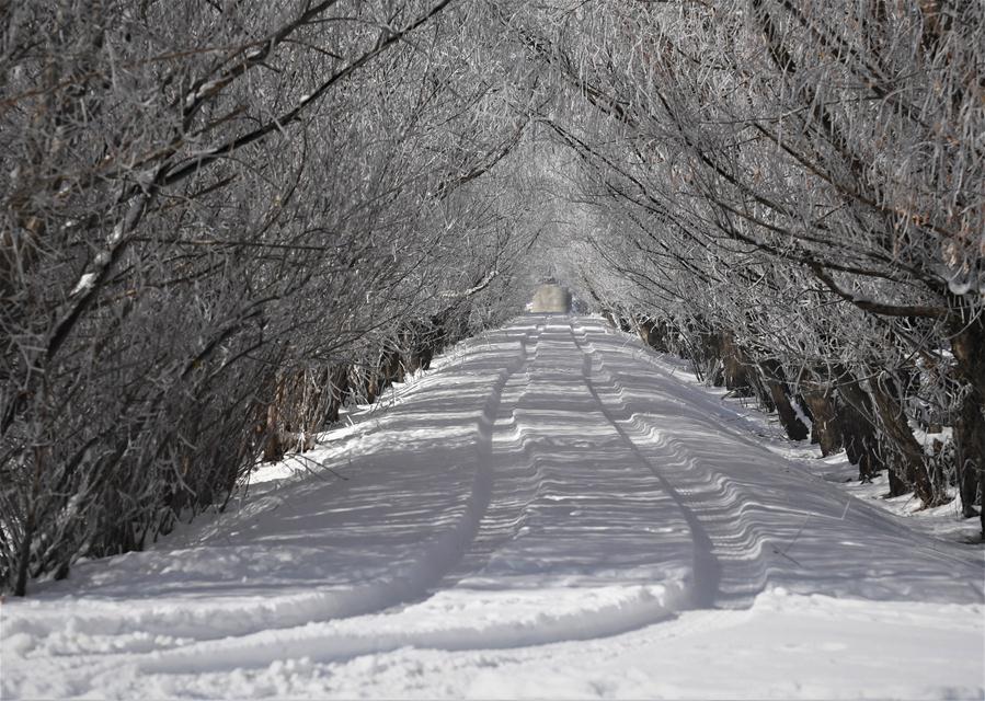 Cenário incrível de sincelo no Tibete da China