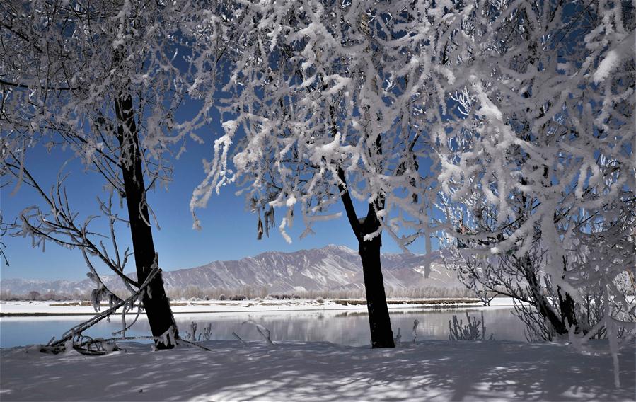 Cenário incrível de sincelo no Tibete da China