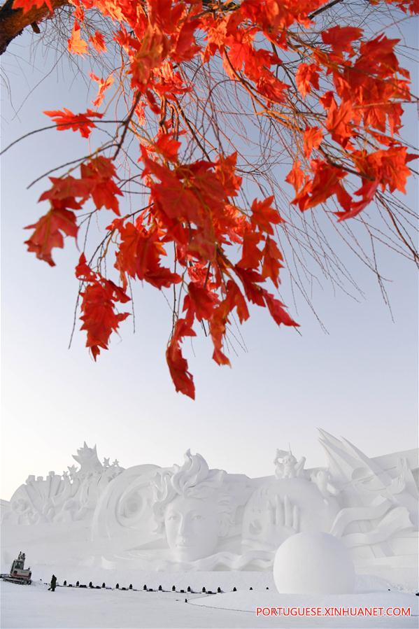 Em imagens: Principais obras na Exposi??o de Esculturas de Neve no nordeste da China