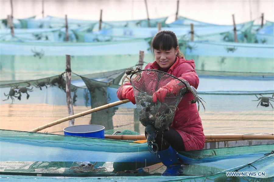 Governos locais ajudam moradores a se livrarem da pobreza em Jiangsu e Shaanxi