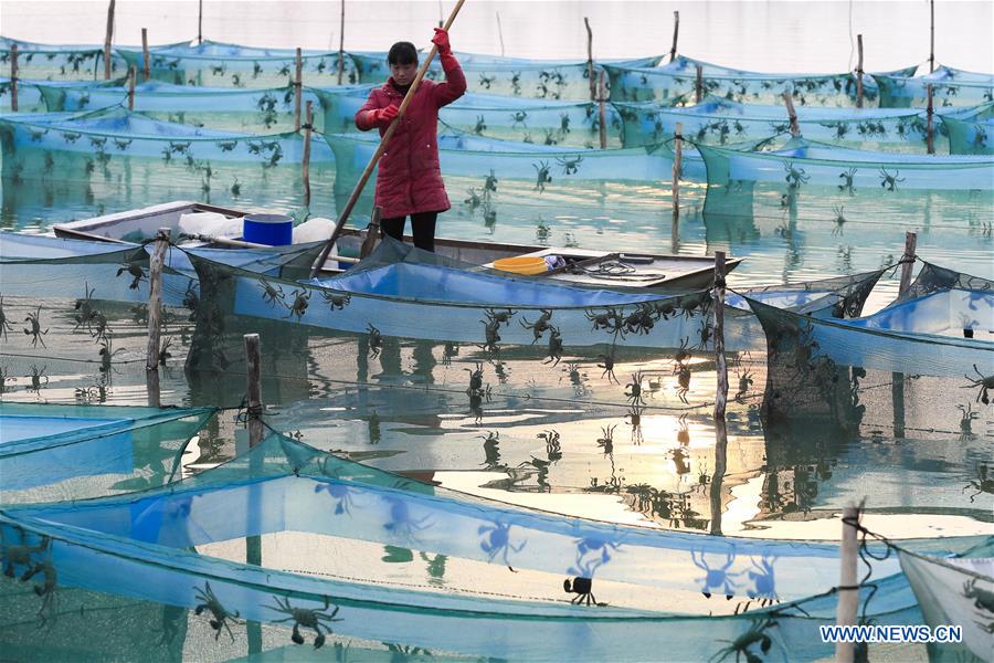 Governos locais ajudam moradores a se livrarem da pobreza em Jiangsu e Shaanxi