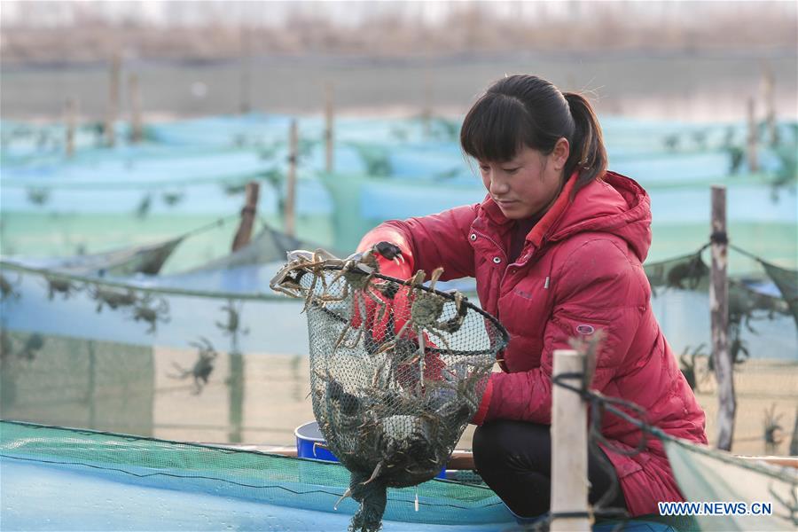 Governos locais ajudam moradores a se livrarem da pobreza em Jiangsu e Shaanxi