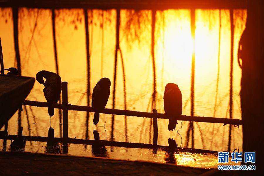 China aprova plano diretor de 2018-2035 para a Nova área de Xiong’an