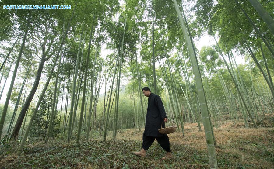 Shu Nan: Famoso fabricante de incensos em Zhejiang